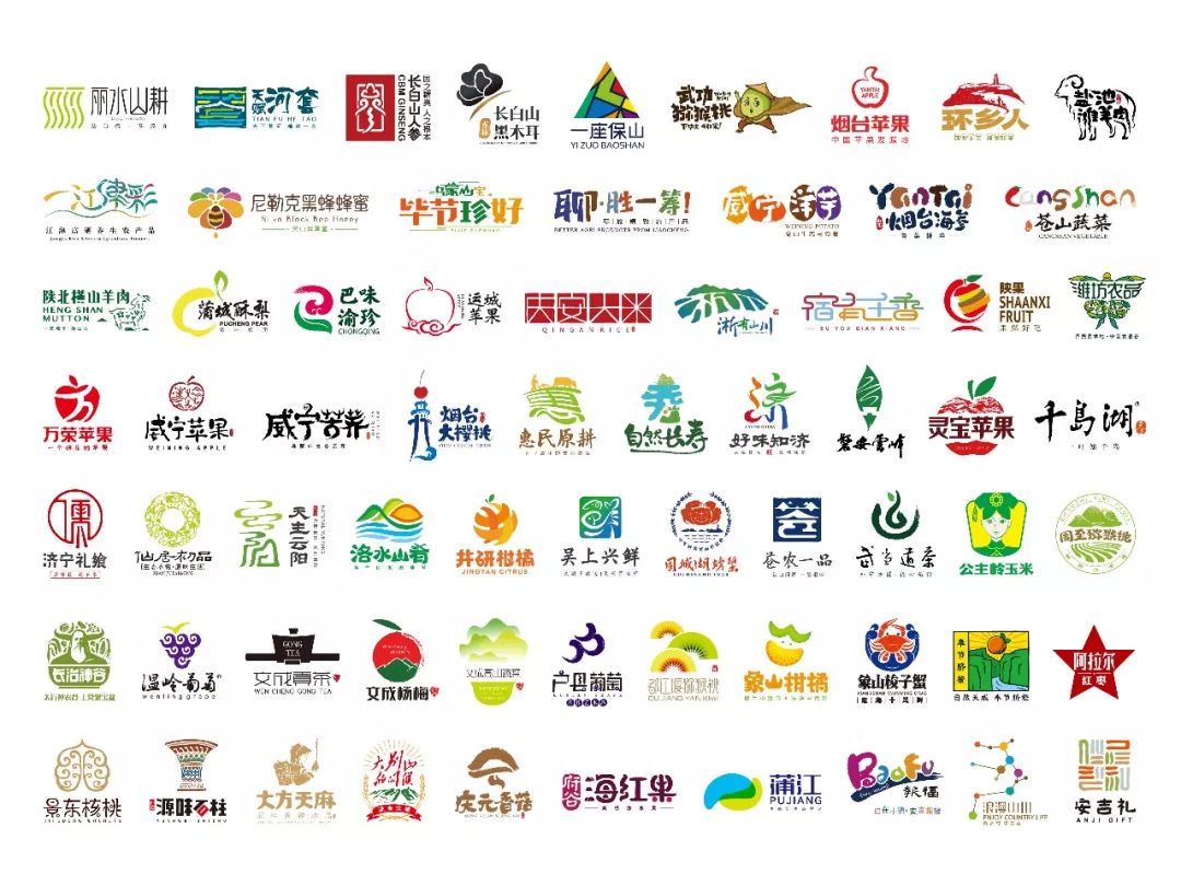 芒种观察丨与城市和解：水产市场的业态革命