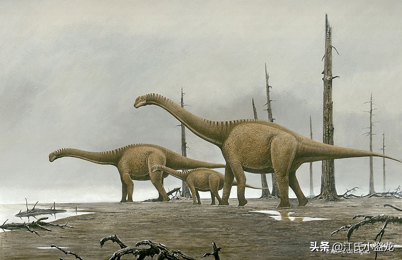 古生物时代有多少种恐龙,人类已经发现了多少恐龙种类