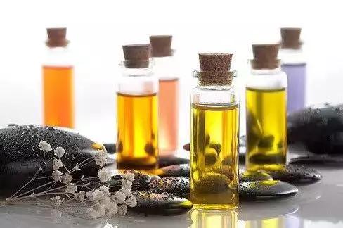 精油初学者指南顶级基础精油推荐,精油基础知识大全图片