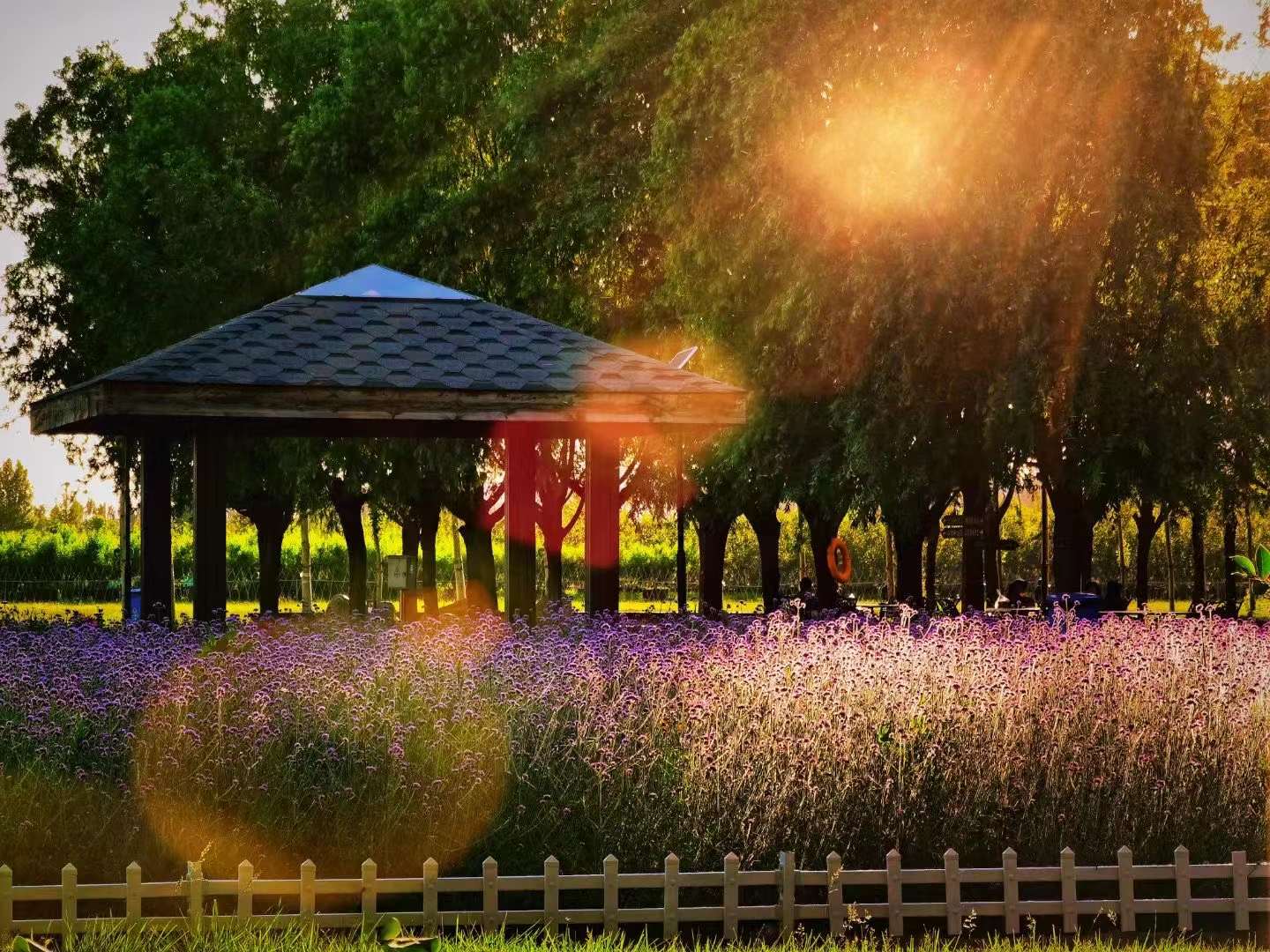 香河大爱城值不值得养老,香河大爱城书院养老中心