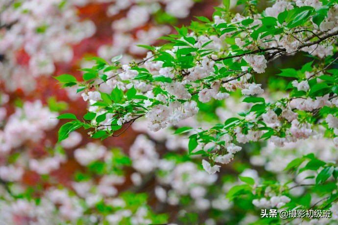 摄影饱和度怎么调,小白学摄影饱和度