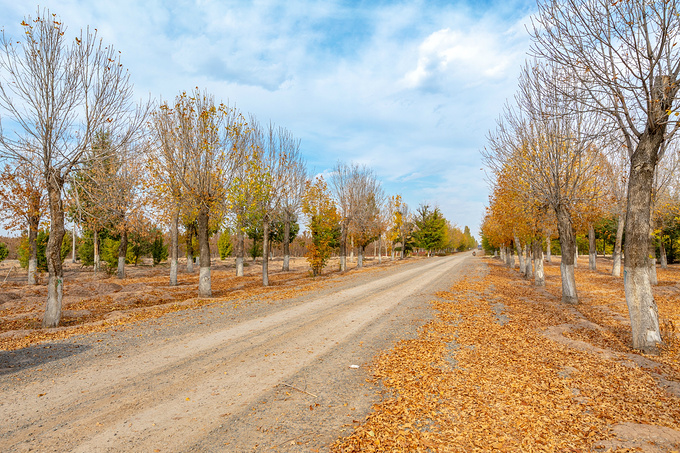 一路向西，去遇见我的时光之旅