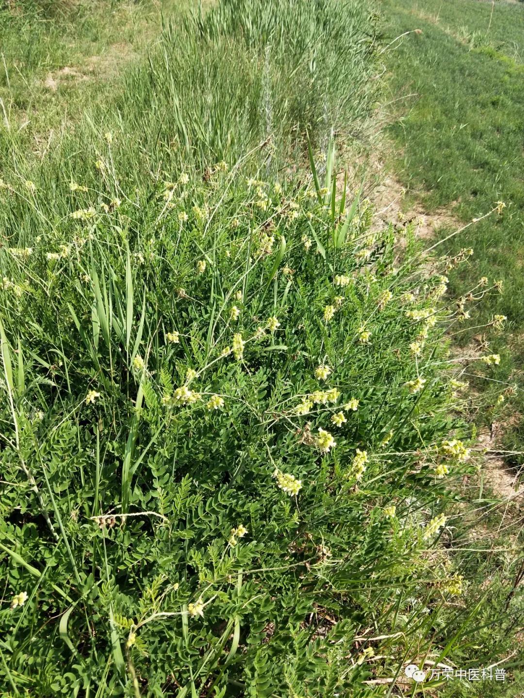 跟我回家在线免费看,跟我回家免费看