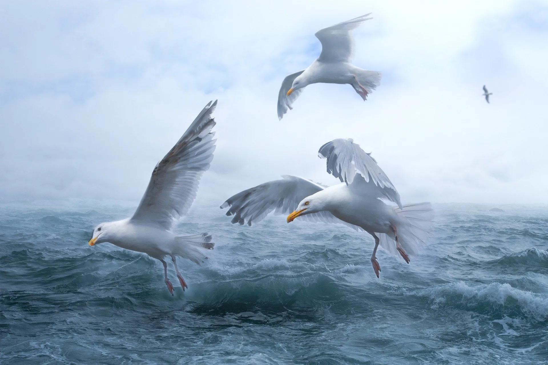 每一种血型的人都有各种不同,不同血型的人的智商有差别吗