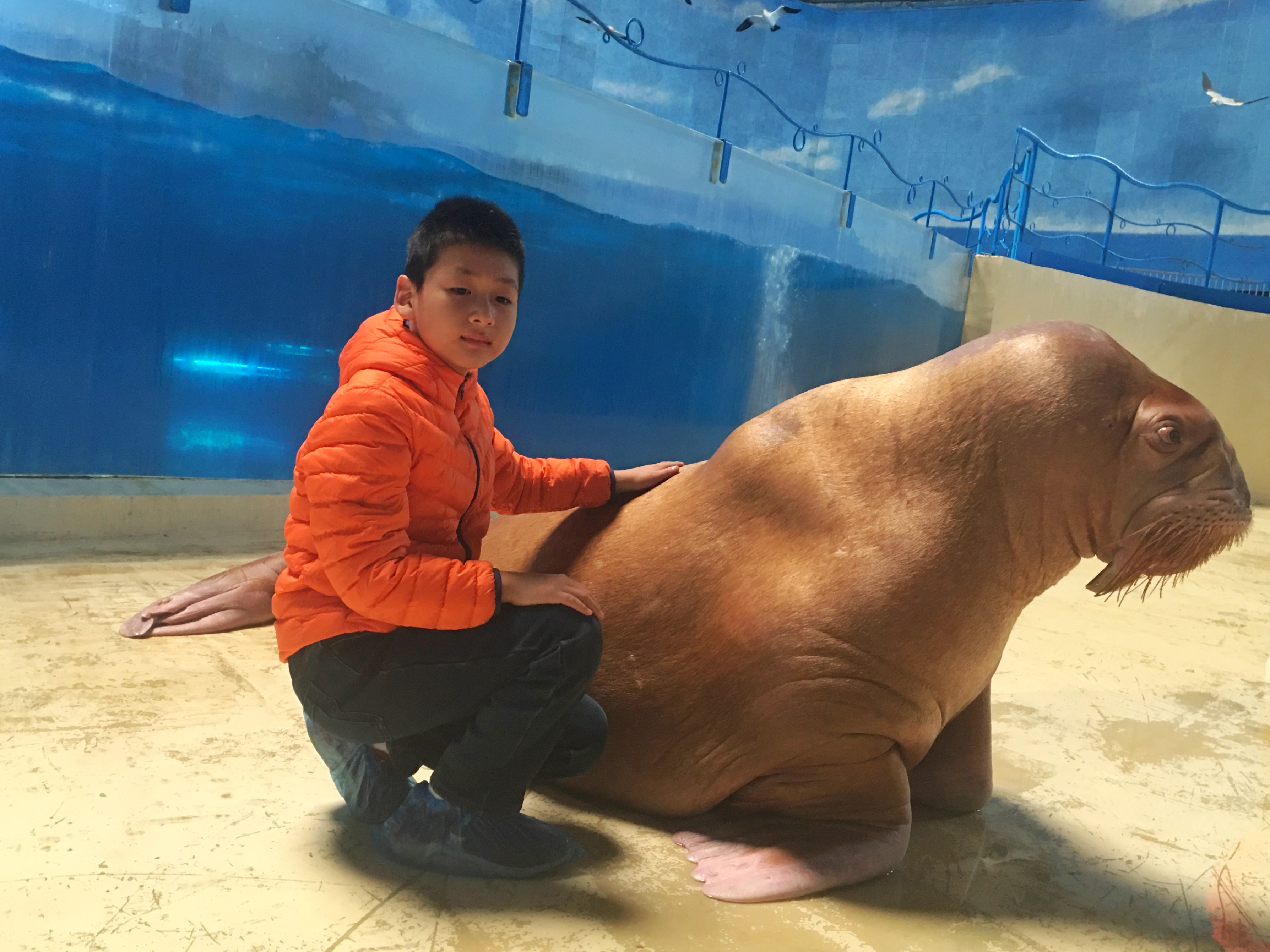 带娃玩的海洋极地世界,欢乐周末带娃时光