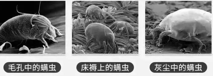 去螨虫慕斯推荐,洗面奶慕斯去螨虫