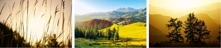 锦江之星亚洲第一,锦江之星缅北店