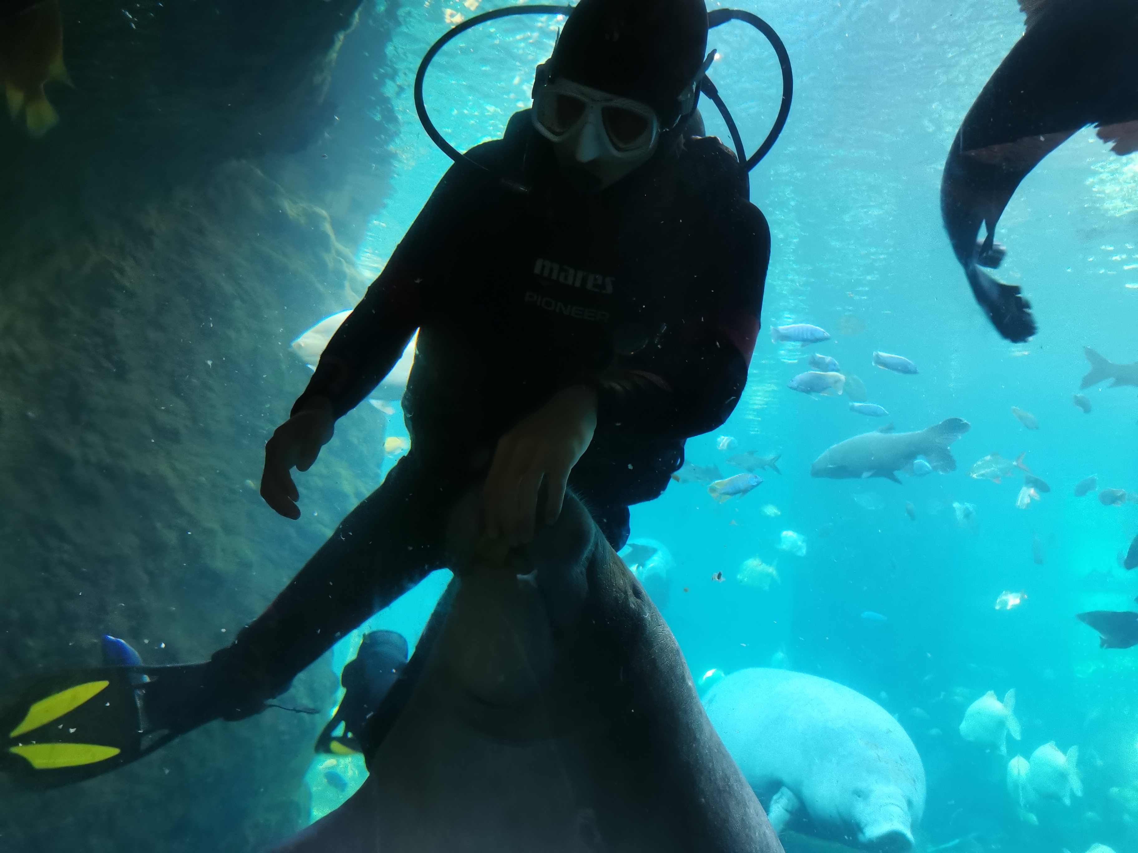 第一次去珠海长隆视频,第一次去珠海长隆怎么玩