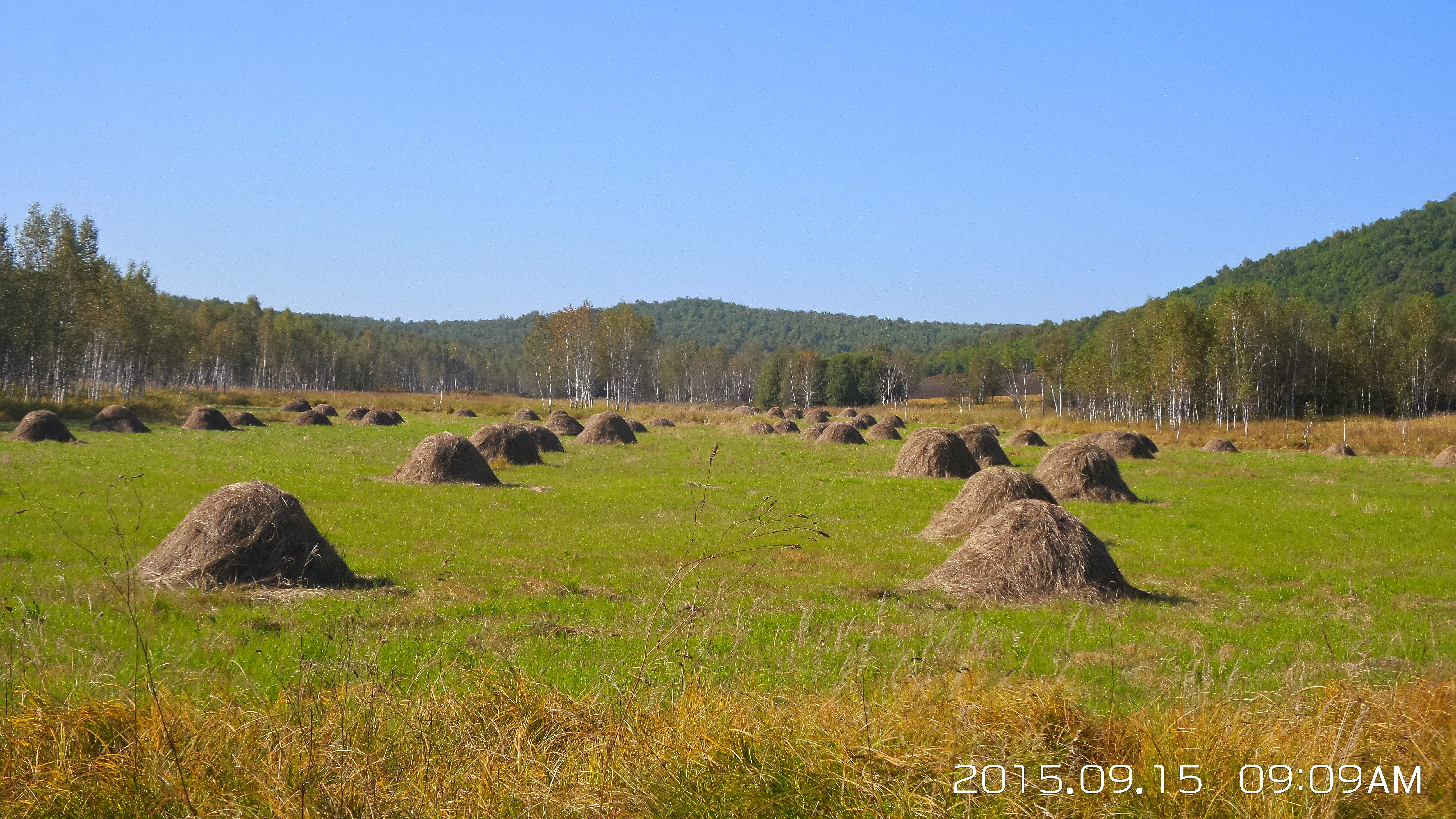 大山里的苦日子视频,你见过最苦的生活是什么样的