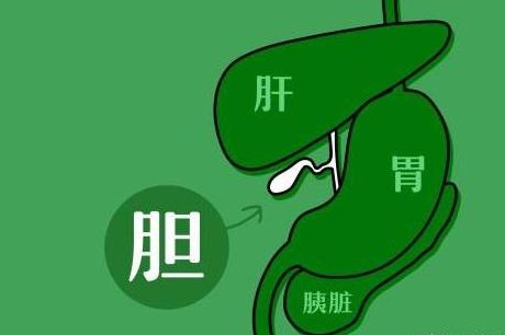 胆结石长期不排石会怎么样,胆结石强忍