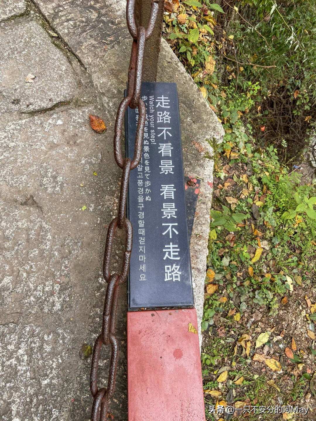 为什么爬华山都是夜爬,华山自古一条道很有必要爬吗