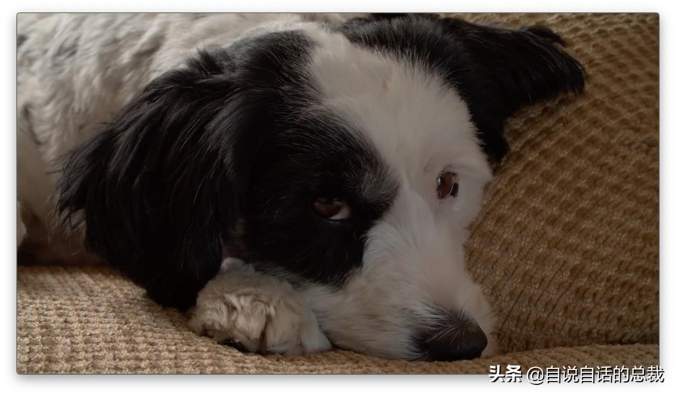 毛囊异型,毛囊里的异形物