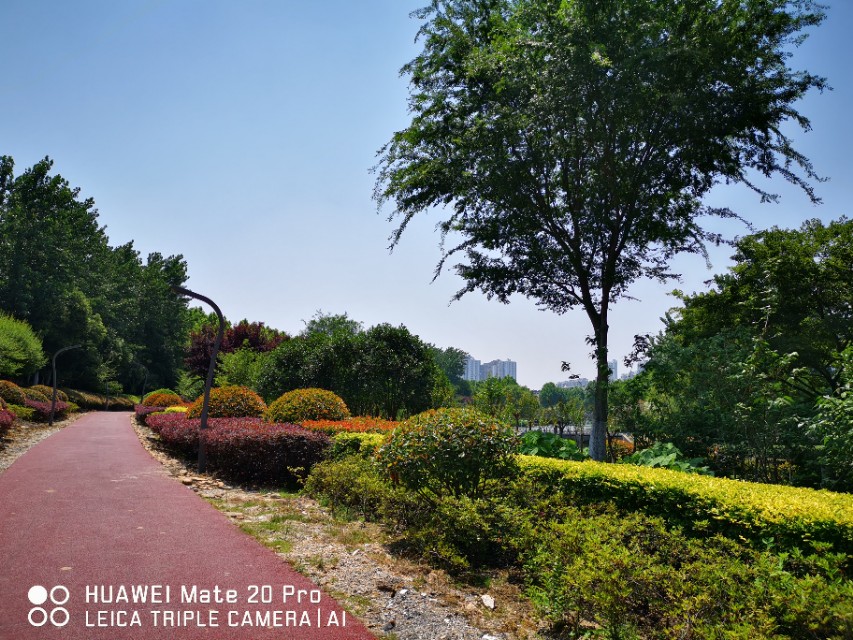 大美滨湖全景图,合肥滨湖塘西河公园美景