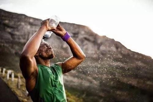 健身高蛋白对肾的损害,高蛋白饮食的危害