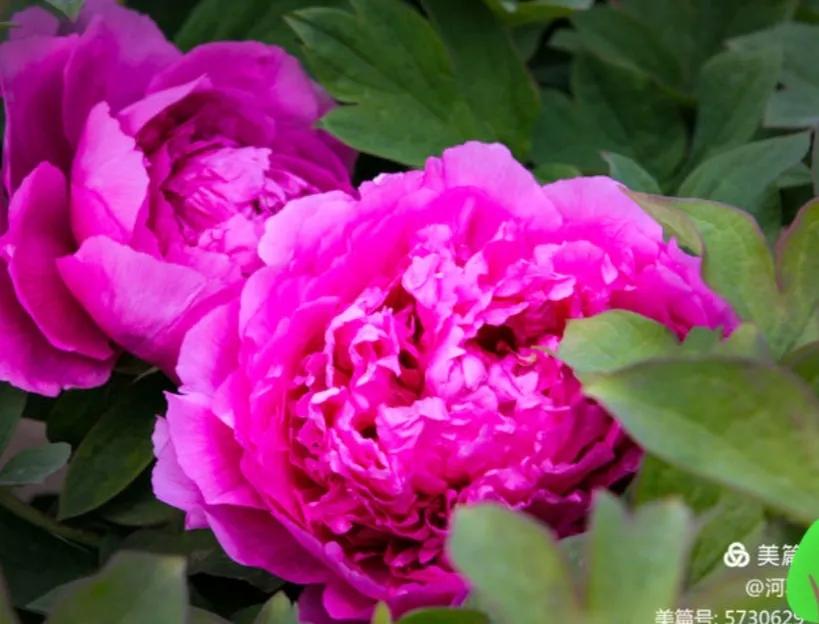 看病那些事儿完整版,看病奇葩事儿