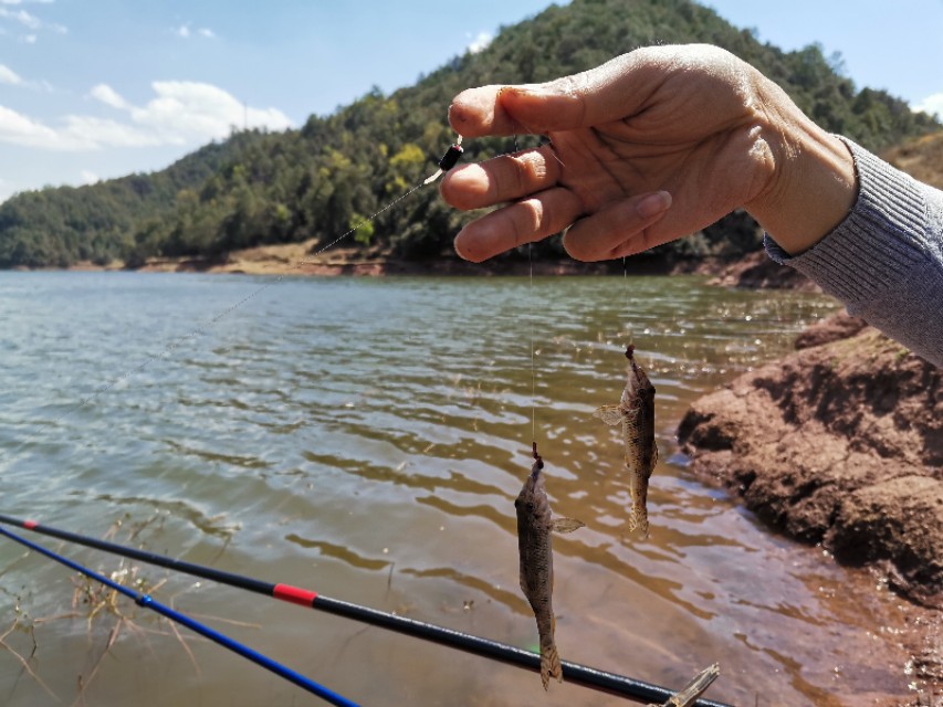 禄劝野钓鲫鱼好地方,禄劝溪流野钓