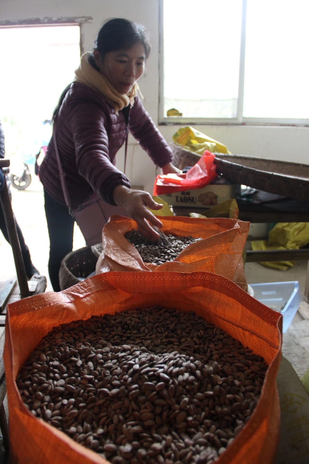 点赞!高位瘫痪的汪永明不等靠要独自经营几十亩果园艰难度日