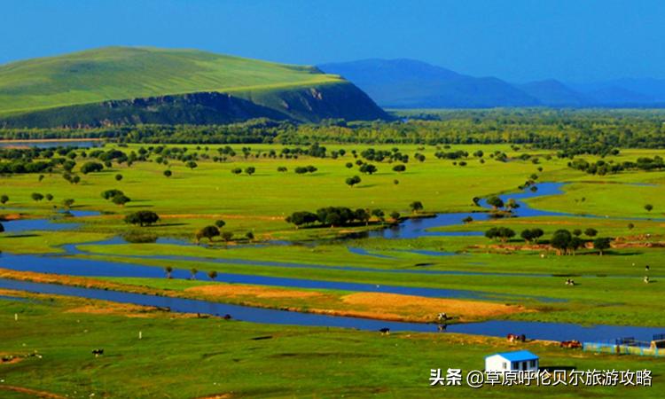 呼伦贝尔根河游玩攻略及根河景区介绍