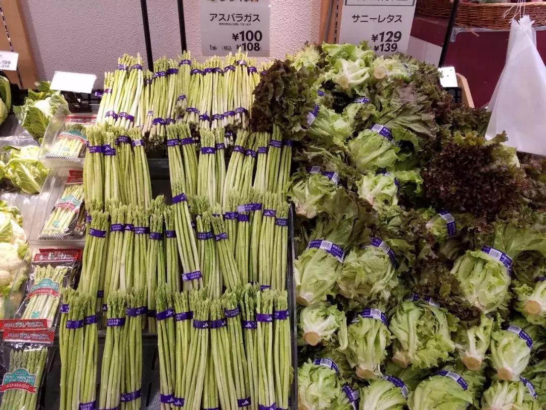 日本精致的日常生活 (日本的精致日常生活)