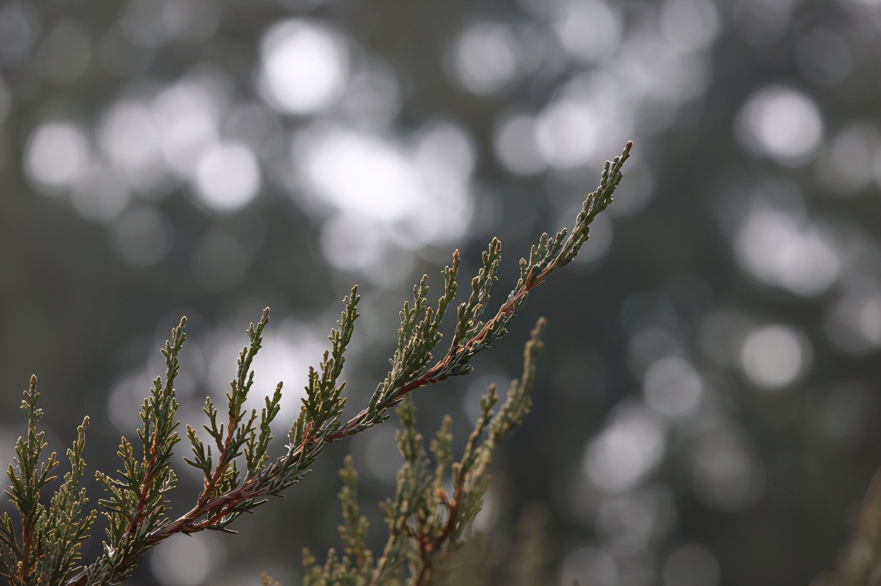 长度1.4米的头发可以卖多少钱,长度120厘米头发能卖多少钱