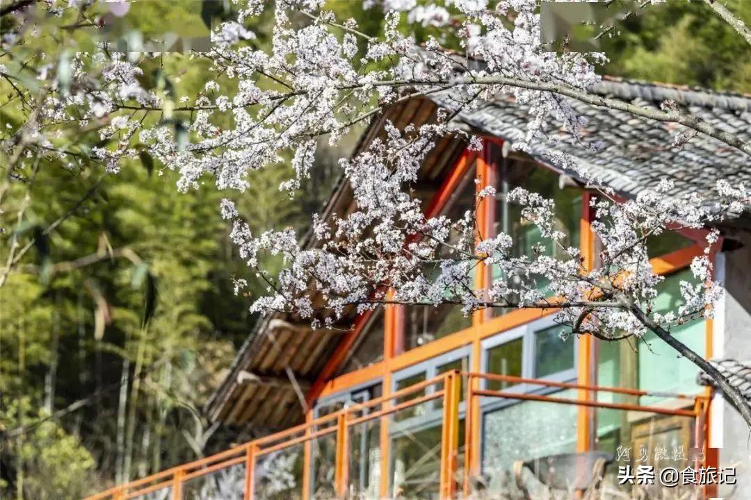 青田的青田,青田是中国的华侨之乡