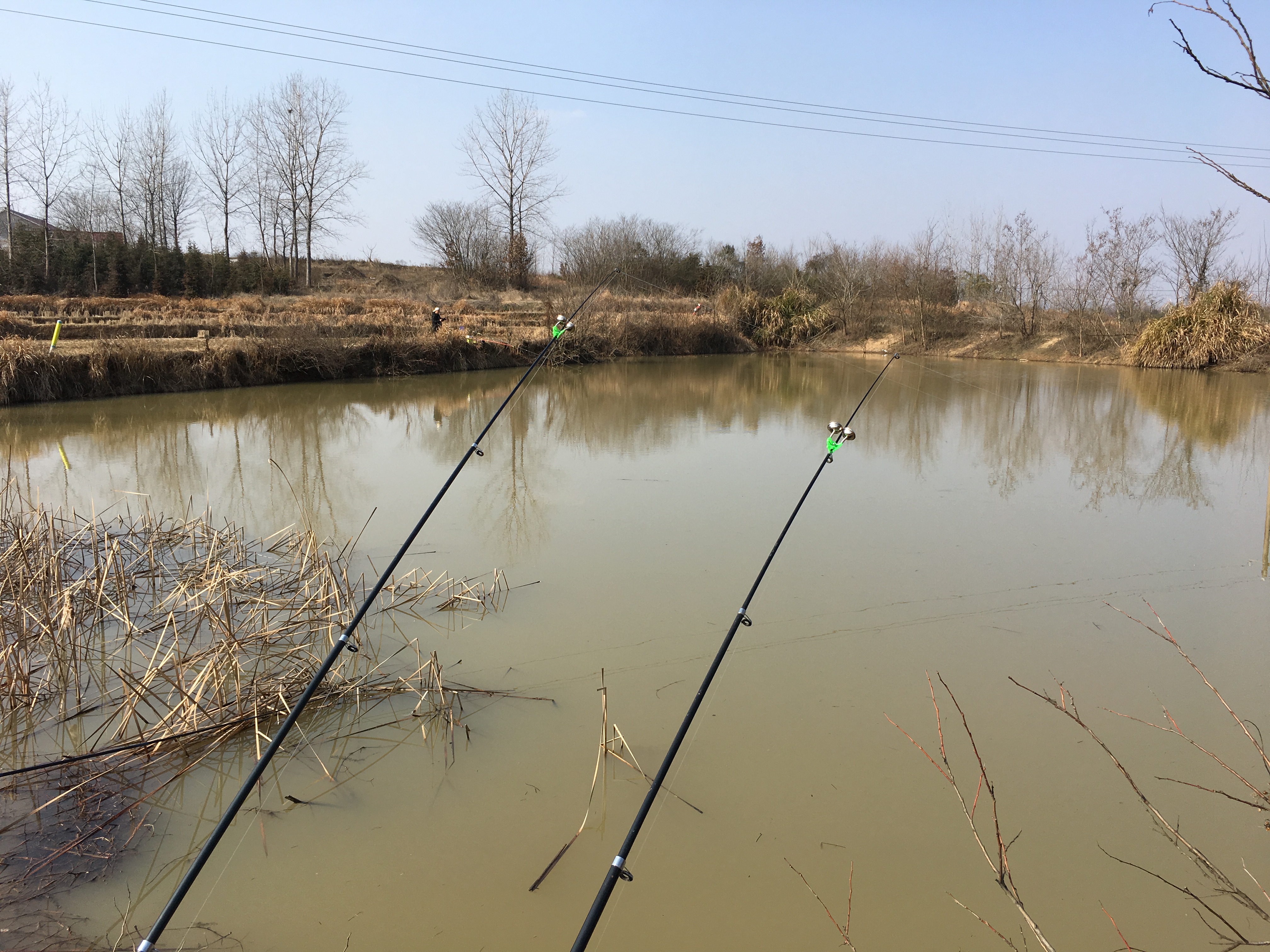 经常钓不到鱼原来是少了这个步骤,冬季晴天10度钓鲤鱼钓深还是钓浅
