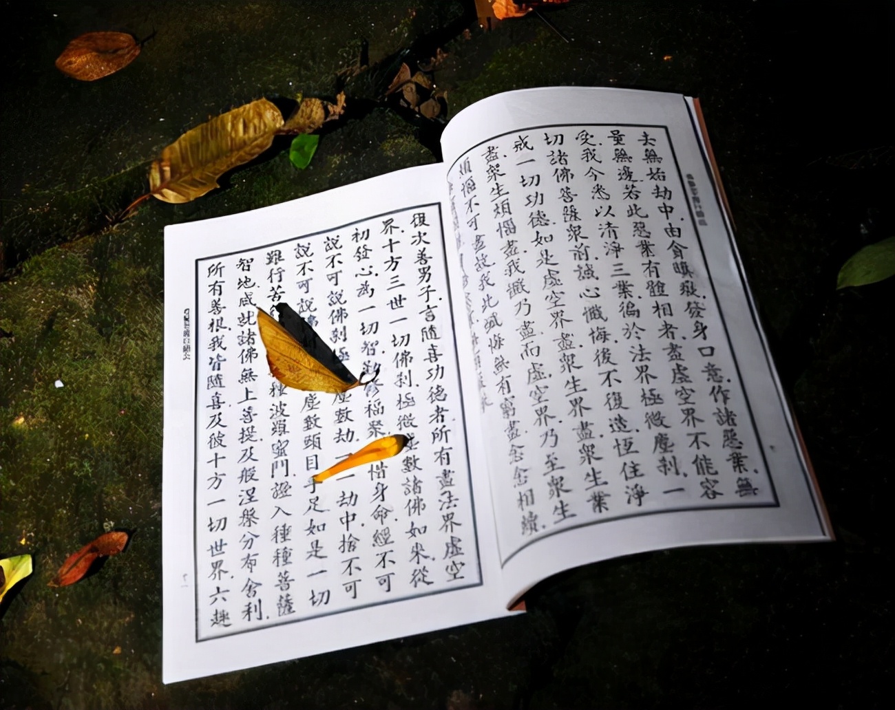 佛法也有副作用,修行者走火入魔,跋求摩河*案惨**超60名比丘被杀死