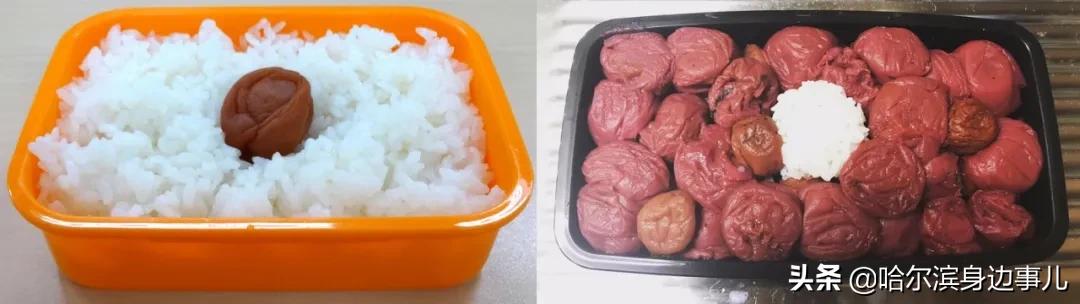 日本的饭盒是怎么装的,日本饭盒装了什么