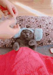 肌美精3d面膜使用方法,肌美精3d面膜10枚