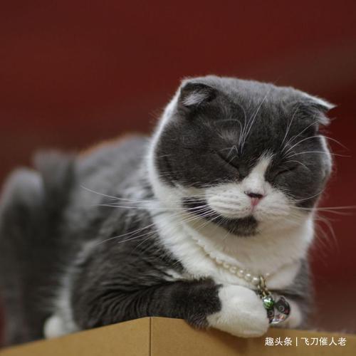 玉米地发现不明液体怎么办,玉米地发现的怪事