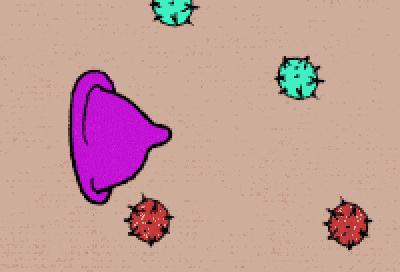 和患有艾滋病的人握手能传播吗,和艾滋病人握手会感染吗