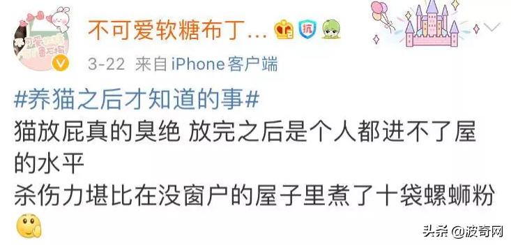 猫上了床有一股很臭的味道找不到,为什么猫的屁股碰到床单就臭