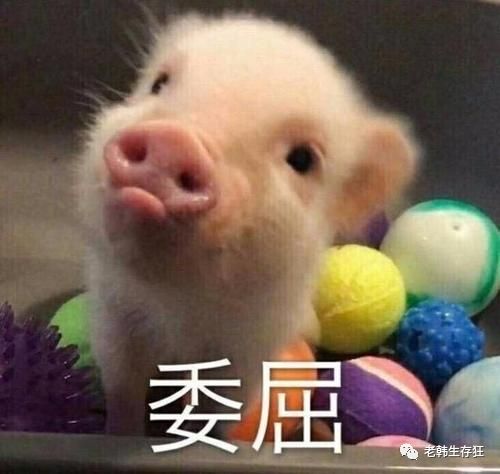 生存战争缺水了怎么办,生存战争遇到岩浆怎么办