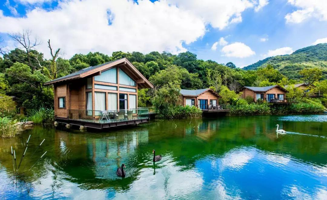 浪漫树屋、奇妙酒店、恒温水乐园...去江浙沪Top酒店跨个30℃的年