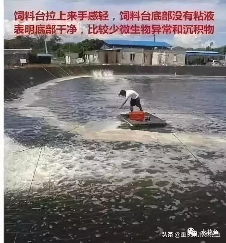 水产养殖水质评价标准,水产养殖水质怎么查看的