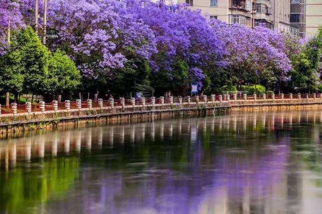 爱的链接爱心公益阳光100、红果学院、中国泛户外一直在行动