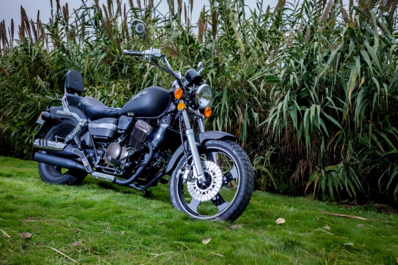 250cc的国产巡航太子车，最高时速114，符合国人审美