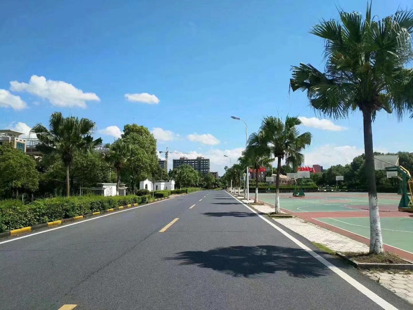 新余学校环境,新余市的学校