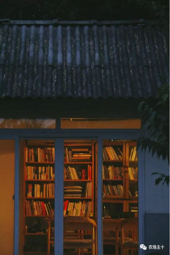 总共花了不到700元改造的废弃小院,花4万改造房子