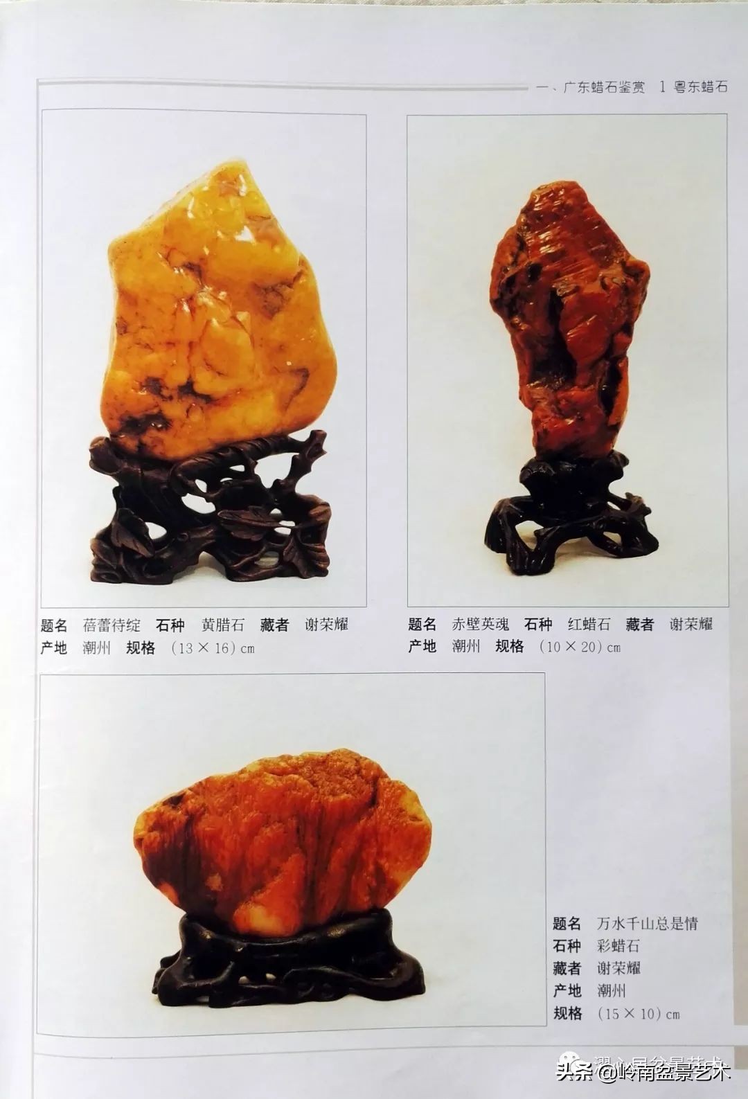 玩树藏石，不亦乐乎！