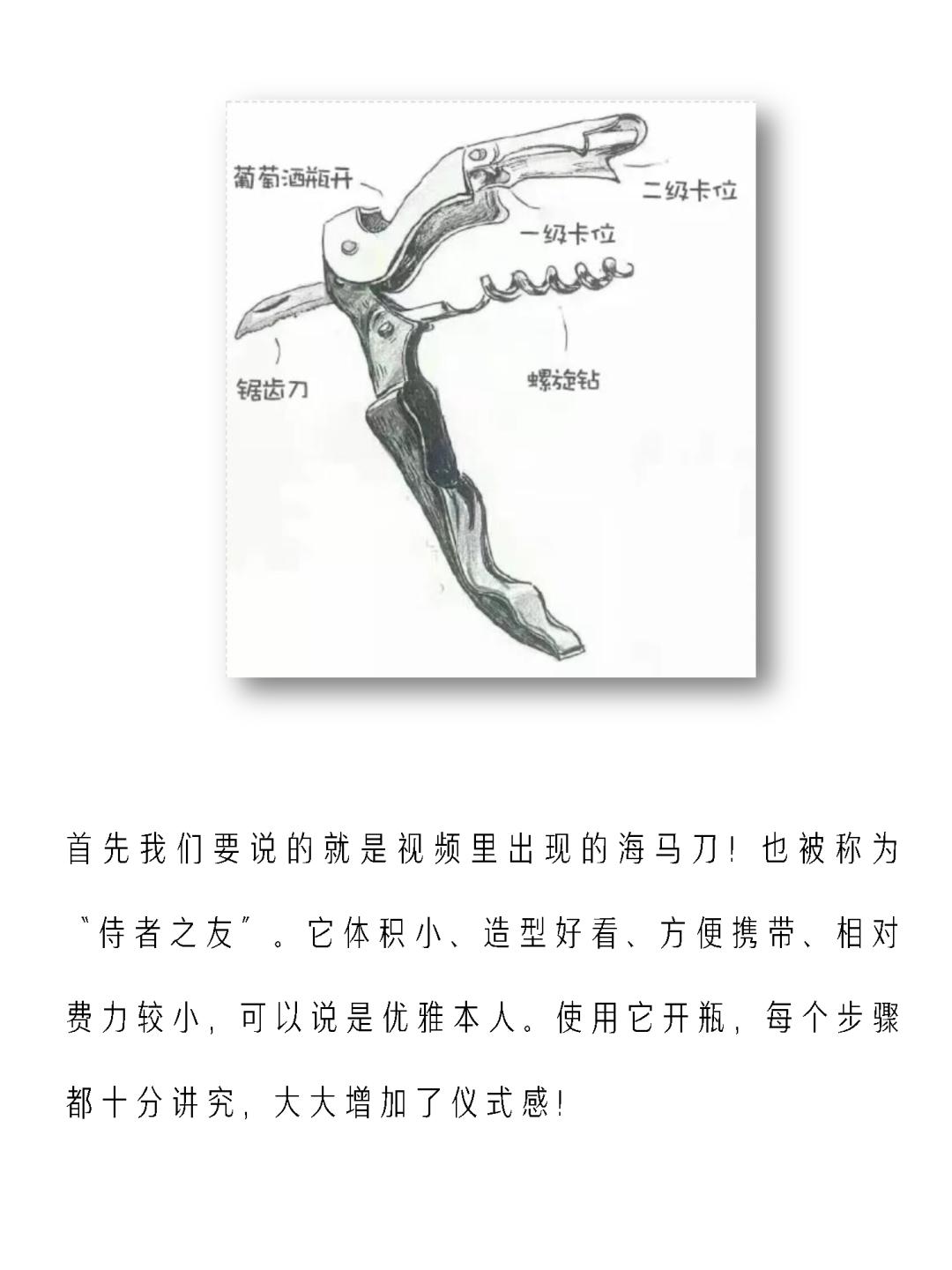 尼雅红酒品鉴,尼雅红酒开瓶