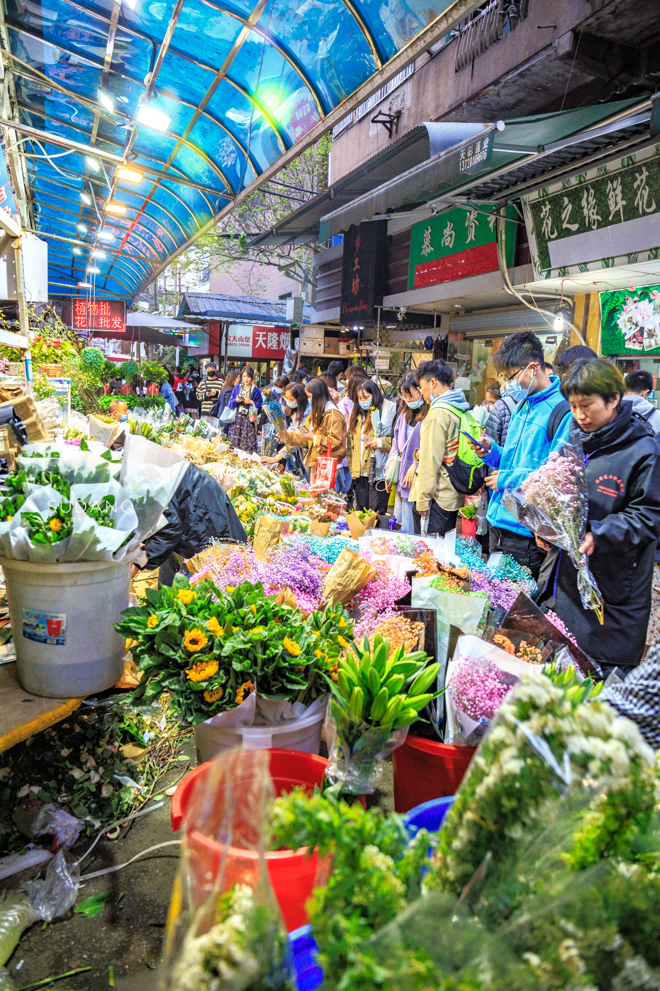 武汉铁机路花市,武汉解放公园花市
