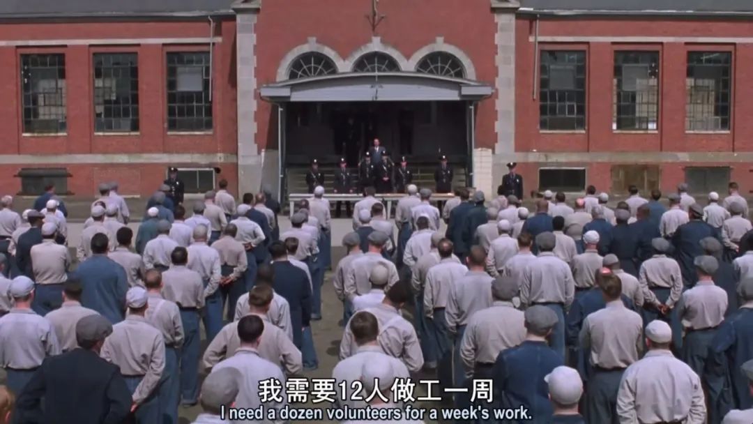 最好的一部电影被所有人低估了,最难超越的五部电影