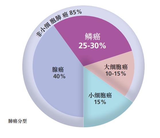肺腑之言讲解,肺癌患者肺腑之言
