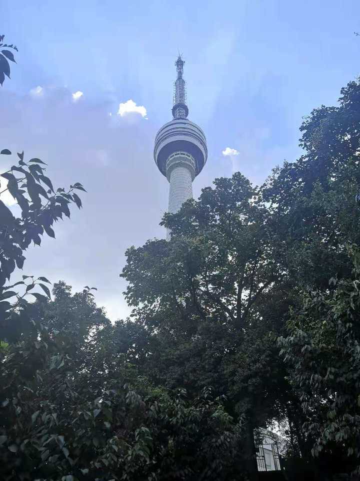 你们是否被*子骗**骗过钱?