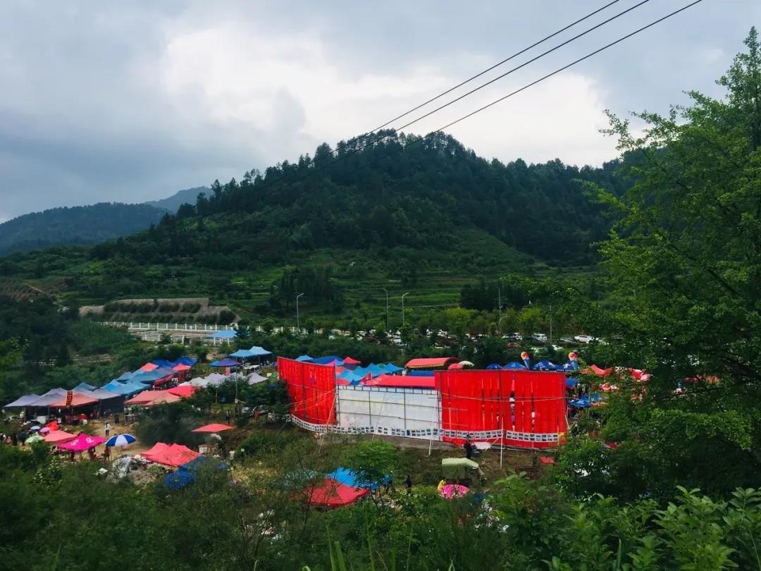 羊安杨梅节直播,羊安杨梅采摘