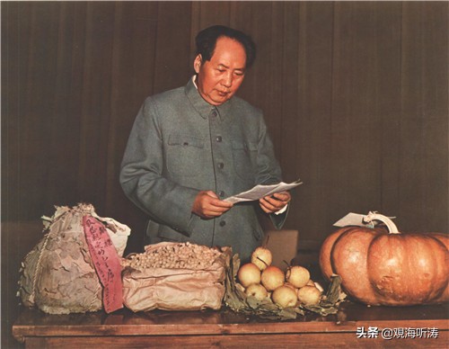 这次你们怎么办我都不管了——毛主席为合肥人民的一次破例