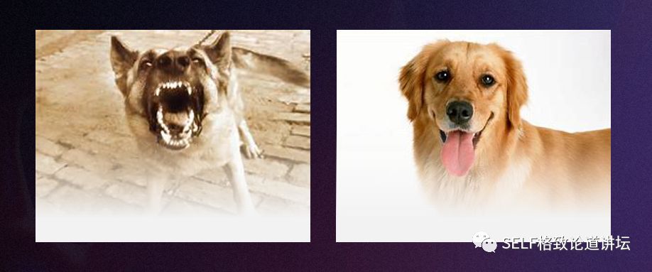 诺贝尔奖中的有机化学,为什么诺贝尔化学奖很少