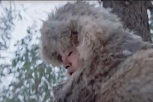 看了这部“俄囧”，我宣布我的新任小墙头诞生了！