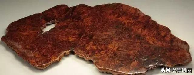 林黛玉的真面目,林黛玉神秘面纱